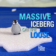 Animation of Image of the Week graphic element