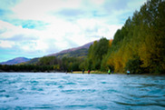 Kenai River