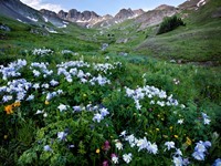 HandiesPeakWildernessStudyArea_CO_BobWick_BLM