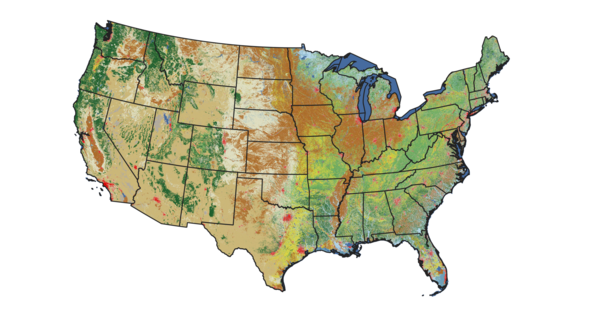 Land cover map of the United States 