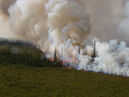 fire in boreal forest