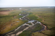 River winding through a marshy, flat landscape