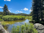 Meandering river with mountains in distance