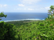 View of ocean through lush vegetation