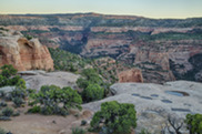 Red canyons dotted with vegetation