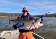 Paddlefish