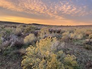 Colorado plateau