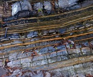 Bossier_Formation_Outcrop_usgs