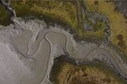Aerial view of saltmarsh