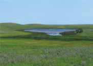wetland