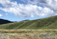 Hills and grassland 