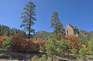 view of mountains