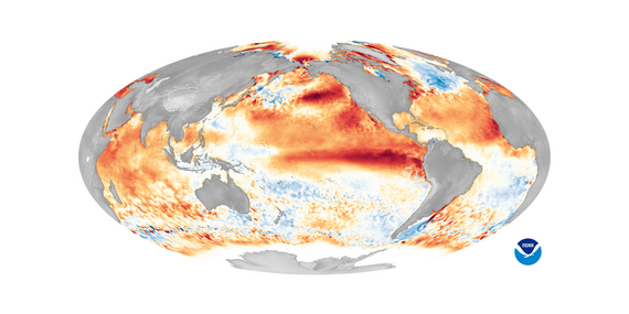 world map shows sea surface temperature anomalies 