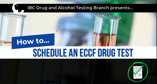 How to Schedule a Drug Test using eCCF - video 
