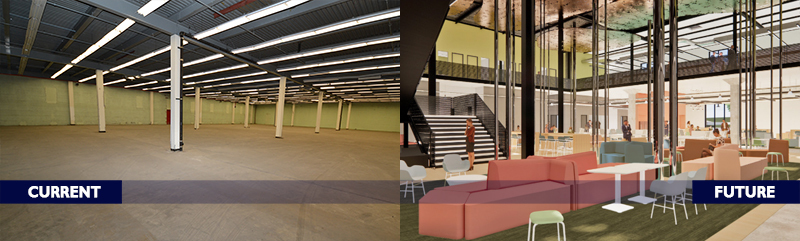 Forest Before and After