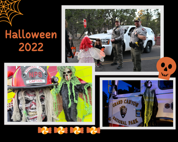 GRCA Halloween Collage 