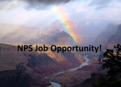 NPS job opportunity 