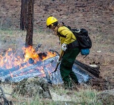 pile burning