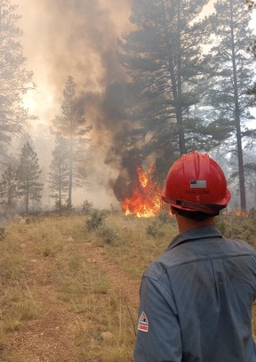 a firefighter watches trees burning