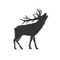 Elk graphic 