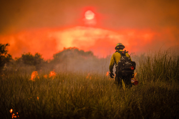 A firefighter holding a drip torch works on a prescribed fire in Florida as the sun lowers toward the horizon. Photo by M. Gue, NPS.