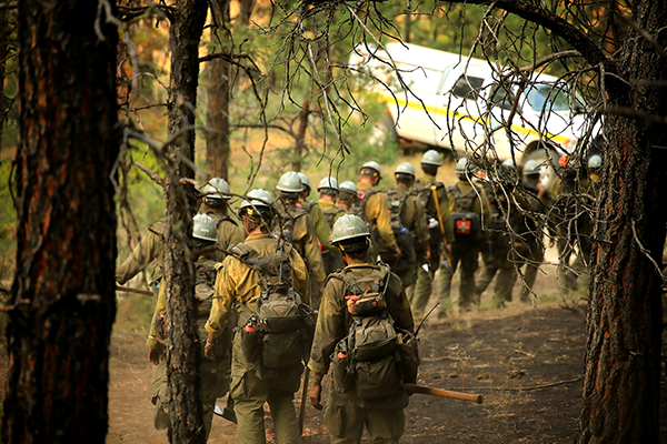 A line of wildland firefighters walks through a scorched forest toward a a white truck. Photo by Austin Catlin, BLM.