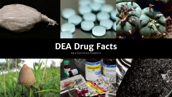 DEA Drug Facts Week 4