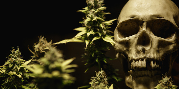 Marijuana and skull