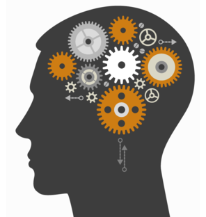 illustrated graphic: head and brain