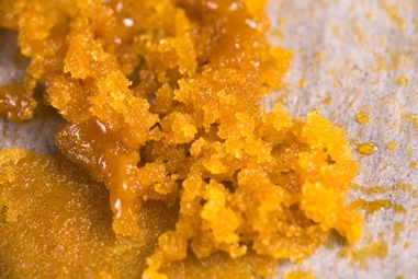 marijuana concentrates