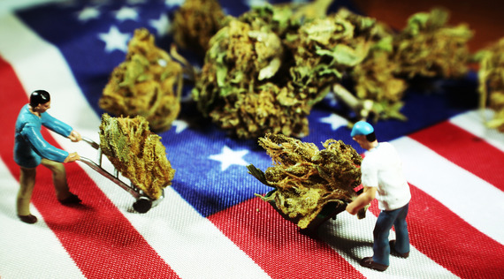 Marijuana and American flag