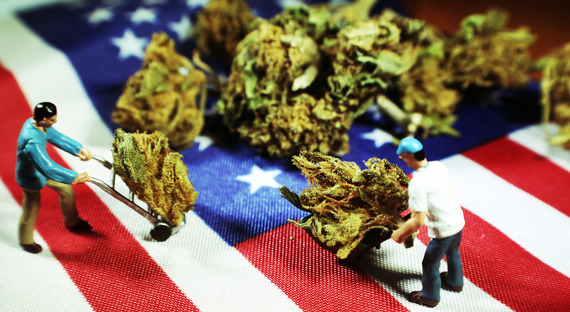 Marijuana and American flag