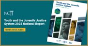 Youth and the Juvenile Justice System 2022 National Report