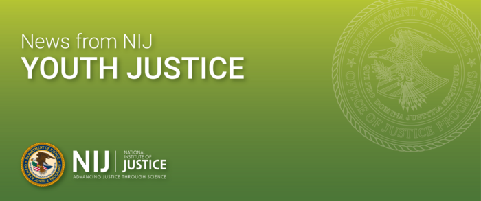 NIJ Youth Justice New Logo