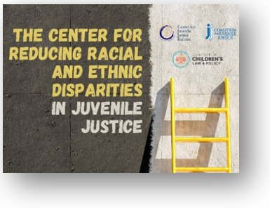 Center for Reducing Racial and Ethnic Disparities in Juvenile Justice