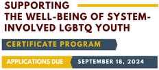 LGBTQ Youth Certificate Program