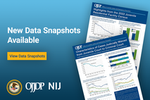 Data Snapshots