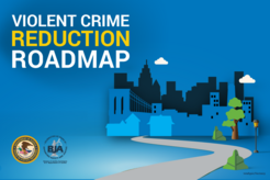 Violent Crime Reduction Roadmap