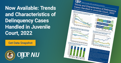 Data Snapshot: Trends and Characteristics of Delinquency Cases Handled in Juvenile Court, 2022