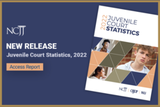 Juvenile Court Statistics 2022