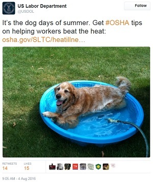dog tweet - US Labor Department @USDOLIt's the dog days of summer. Get #OSHA tips on helping workers bet the heat: osha.gov/SLT/heatillness