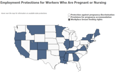 Pregnancy and Breastfeeding Rights Map