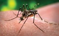 Laboratory Worker Exposure to Zika Virus Fact Sheet