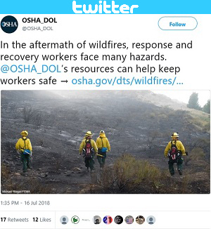 In the aftermath of wildfires, response and recovery workers face many hazards. @OSHA_DOL&rsquo;s resources can help keep workers safe &rarr; https://www.osha.gov/dts/wildfires/response.html