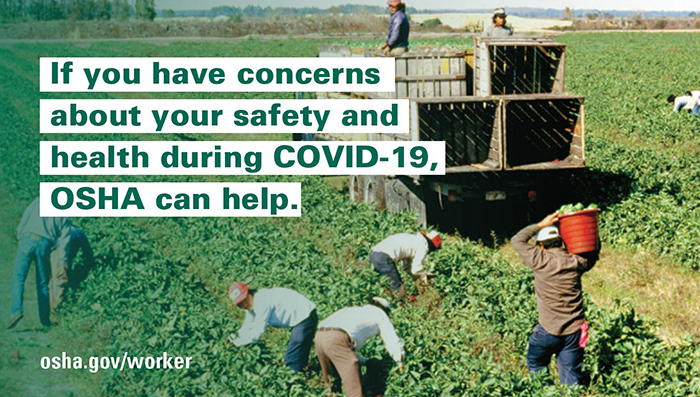 Agricultural Worker Safety During COVID-19 Wallet Card
