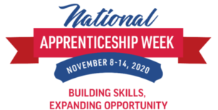 National Apprenticeship Week Logo 2020