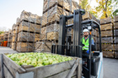 farm goods worker with a forklift