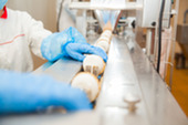 ice cream on an assembly line