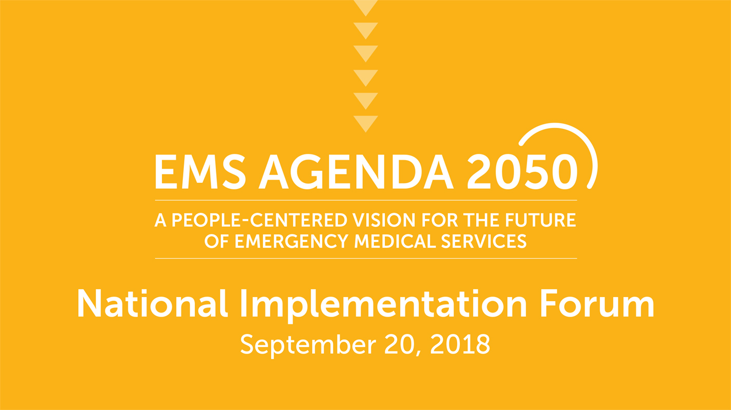 EMS Agenda 2050 Implementation