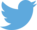 Twitter Logo Blue